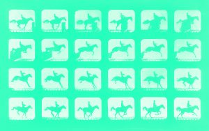 Eine grün eingefärbte Grafik einer Vielzahl von Bildern eines Pferdes mit Reiter