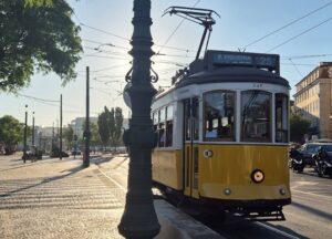 Ein gelber Straßenbahnwagen fährt durch eine sonnige Stadtstraße, umgeben von Gebäuden, Bäumen und Oberleitungen.