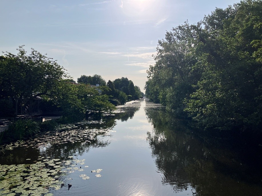 Unterwegs zur Tagung durch die Natur mit Blick auf einen Fluss.