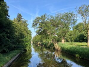 Fußweg zur Tagung durch die Natur mit einem Gewässer.